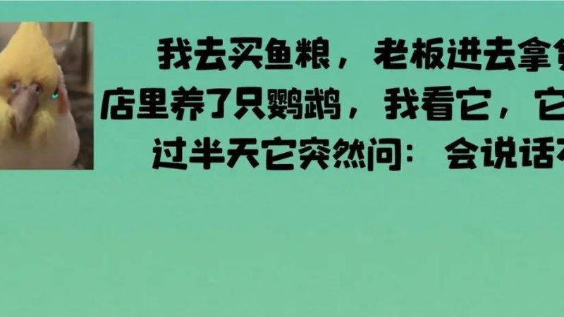 坚果炒货加盟：从选牌到落地的真实逻辑